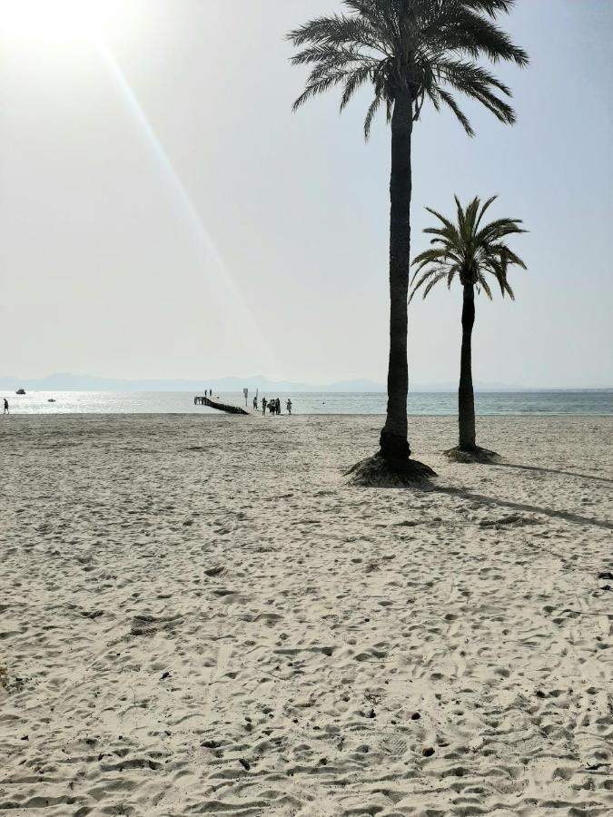 Beach Apartment Minerva ポルト・ダルクディア エクステリア 写真